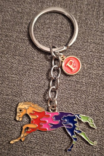 Horse rainbow colours key - rainbow,