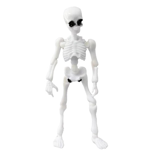 Movable skeleton body human - movable,