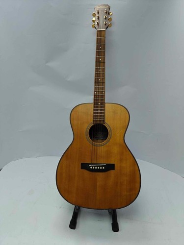 Freshman songo acoustic guitar - freshman,