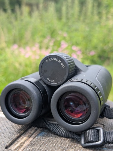 Gpo passion 8x42 binoculars - gpo, hd