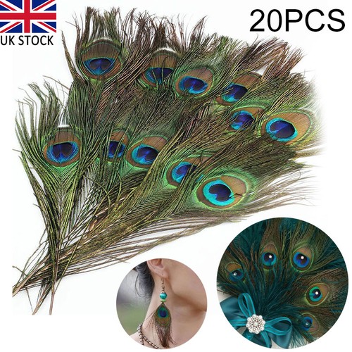 20x natural peacock feathers - natural,