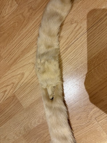 Genuine vintage mink fur - vintage,