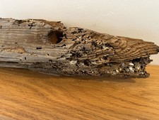 54cm LONG FLAT ish DRIFTWOOD