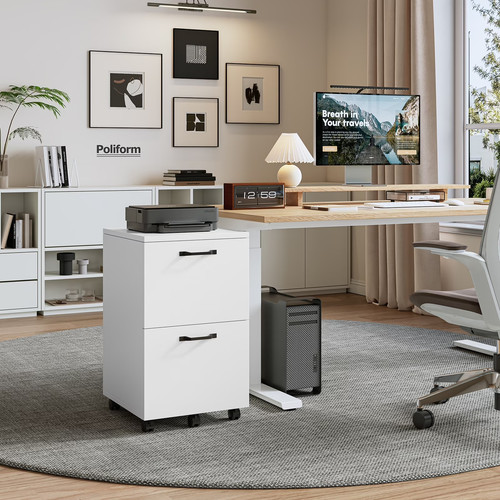 Drawer rolling file - 2-drawer,