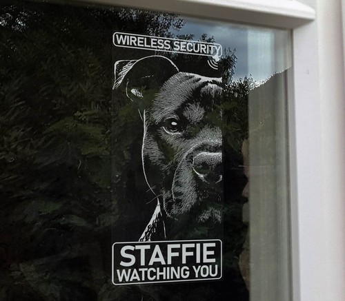 Staffie dog wireless security - dog,