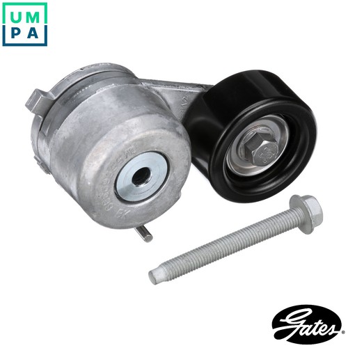 Belt tensioner vribbed - belt,