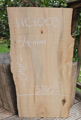 Spalted chestnut live edge - live,