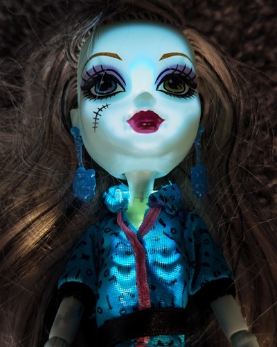 Monster high frankie - monster, stein
