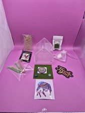 Jumping Spider Tarantula