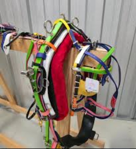 Pony sized skittles - pony,