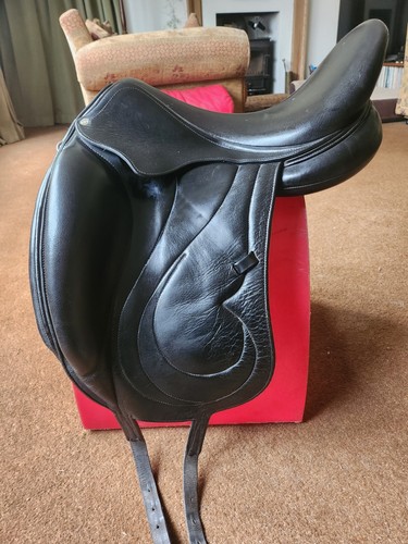 Antares cadence dressage - cadence,