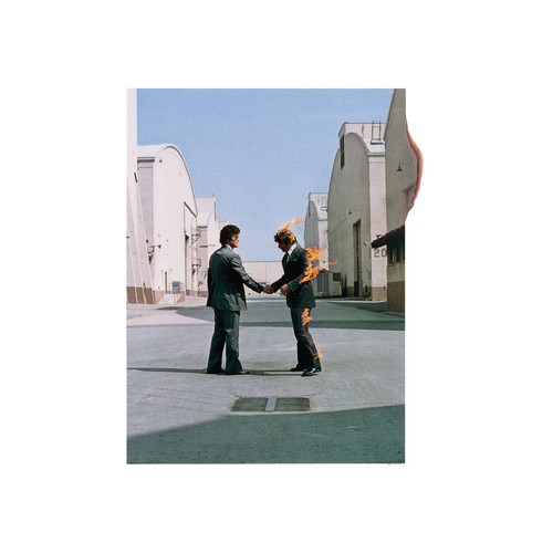 Pink floyd wish - :,