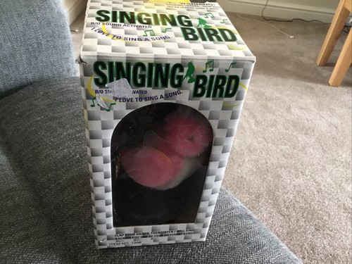 Jingle bird moving singing - jingle, moving,