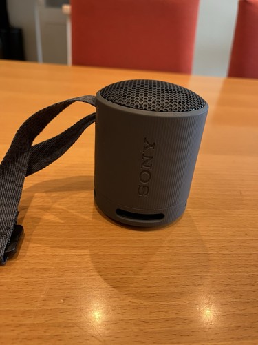 Sony srs xb100 portable - sony,