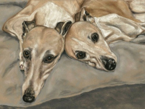 Greyhound lurcher art - lurcher,