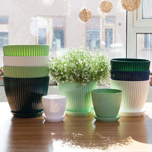 Plant pots indoor - plant, outdoor