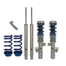 Prosport Coilover Kit for Ford