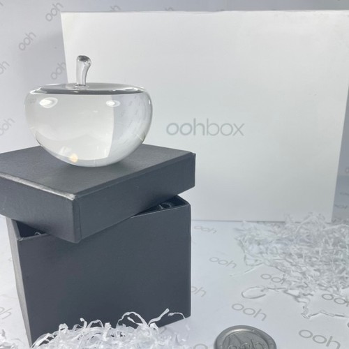 Clear glass apple paperweight - glass,