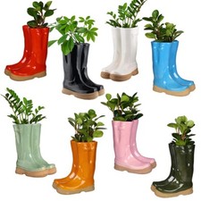 Wellington Boot Flower Plant