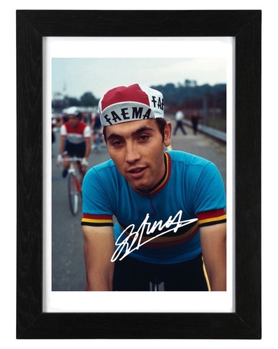 Eddy merckx signed - eddy,