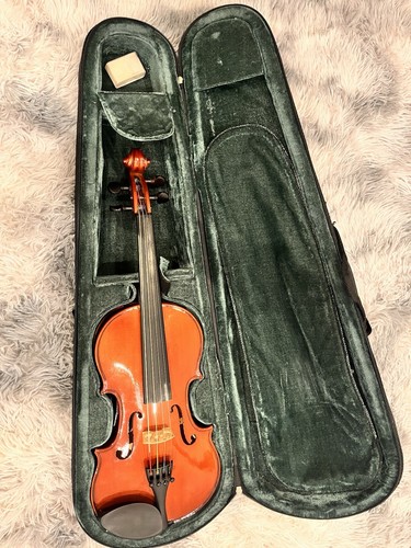 Viola with case - viola, bow