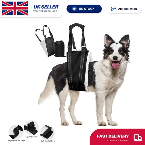 Pet dog mobility aids support - dog,