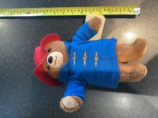 10 inch Paddington Bear