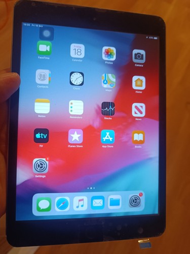 Apple ipad mini 16gb - apple,