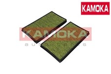 INTERIOR AIR FILTER 6080033