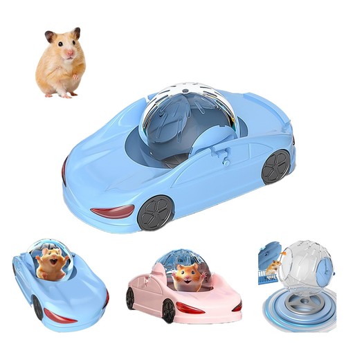 Hamster exercise ball - exercise, sports