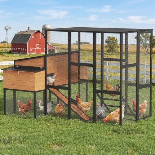 105 large chicken coop - 105",