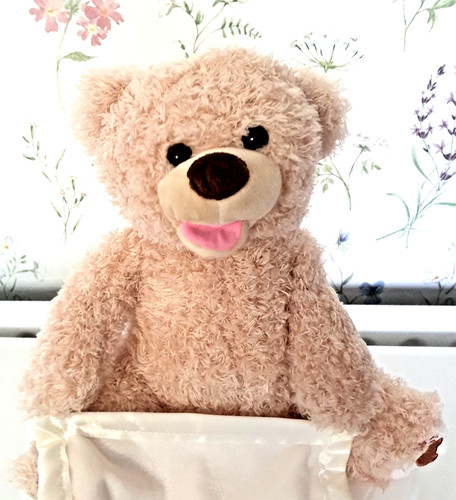Peek boo teddy - teddy, bear