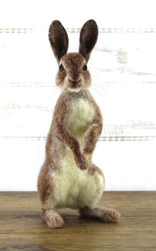 Needle felting kit for romeo - felting,
