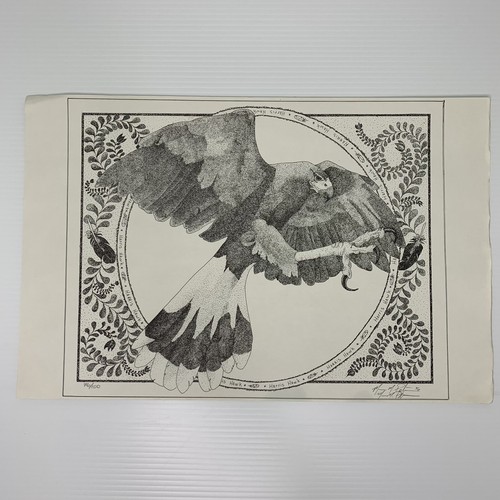 Harris hawk bird - harris, print