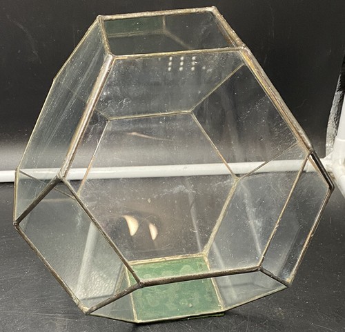 Vintage glass terrarium - glass,