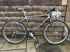 Retro 1993 Marin Muirwoods