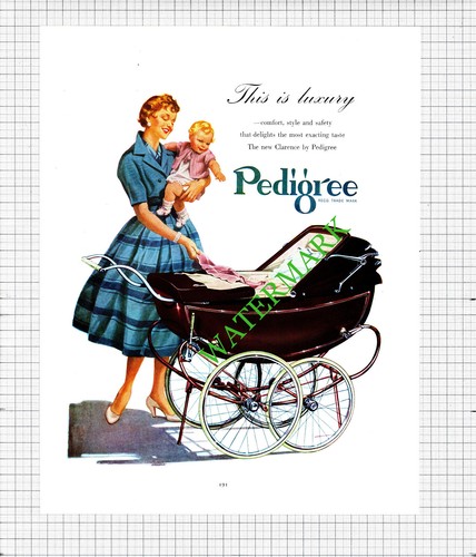 Pedigree pram advert 1956 - pedigree,