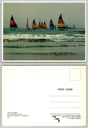 Hobie cat regatta old - cat,