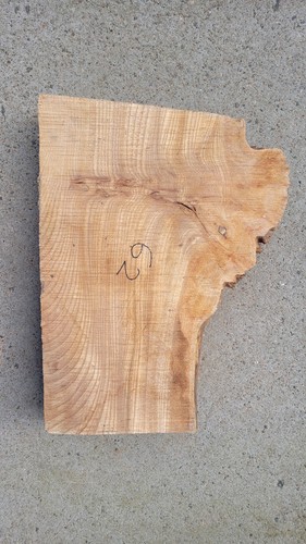 Timber scottish burr - timber, elm