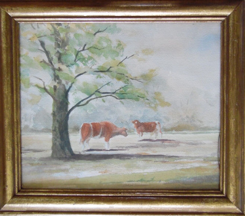 Cows sunshine beneath tree - beneath,