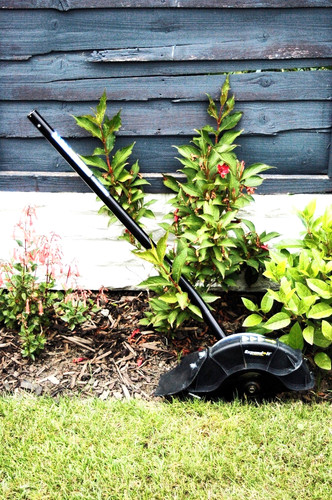 Ryobi expand lawn edge - ryobi,