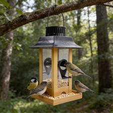 Rain-Resistant Hanging Bird