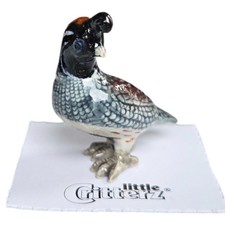 Little critterz gambel quail - critterz, gambel's
