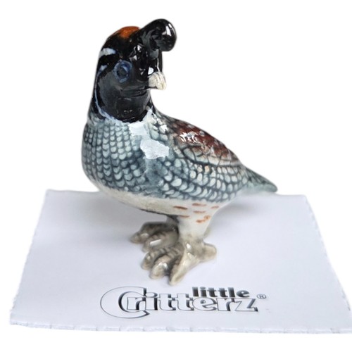 Little critterz gambel quail - critterz,