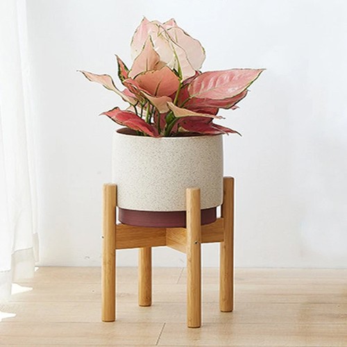 Bamboo wooden display plant - display,