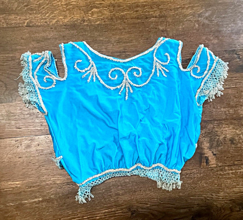 Blue belly dance costume - belly, top