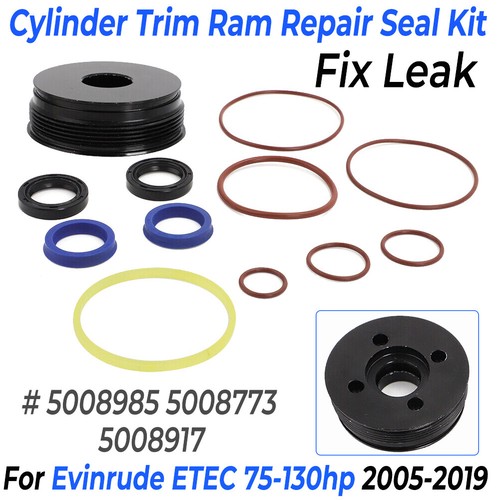 Cylinder trim piston repair - cylinder,