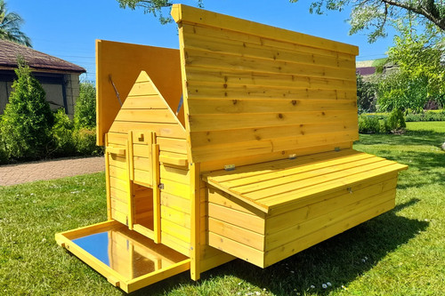 Mega large esnel chicken coop - chicken,