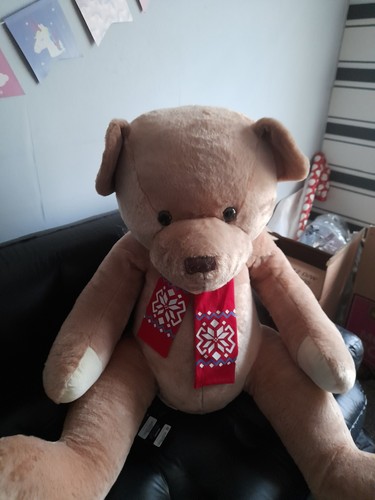 Extra large teddy - teddy, with