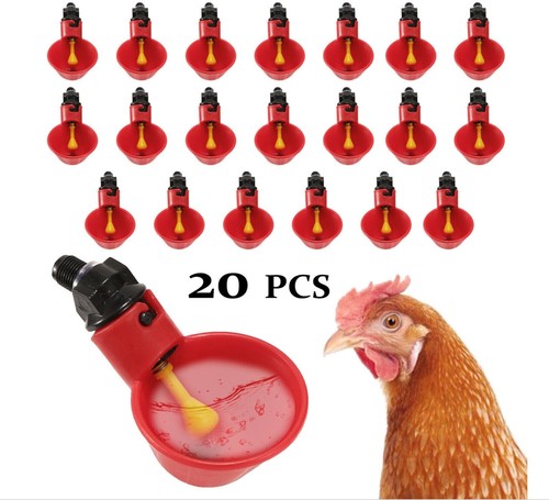 Poultry water drinking cups - poultry,